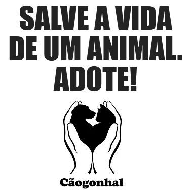CAOGONHAL