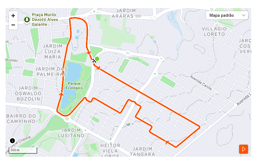 mapa natal